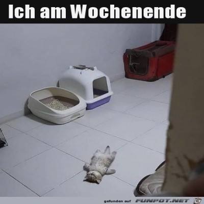 Chillen-am-Wochenende.jpg von DunklesBrot