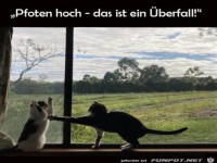 Ein �berfall