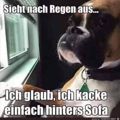 Es-sieht-nach-Regen-aus...jpg von Tilo