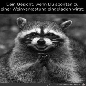 fun-Bild: Das wird fein