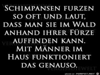 Schimpansen