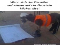 Bauleiter ist da