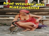 Ein Katzenbild