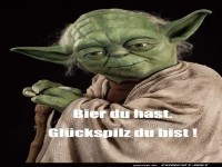 Weisheit eines grnen Meisters mit Humor