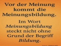 Die Bedeutung von Meinungsbildung