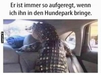 Aufregung auf dem Weg zum Hundepark