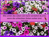 Wie schn das Leben sein kann