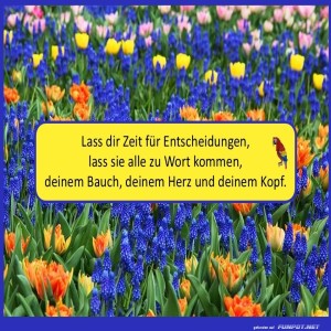 Lass-dir-Zeit.jpg von Sirene