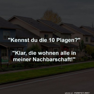 Wenn-Plagen-die-neuen-Nachbarn-sind.jpg von Carlo2006