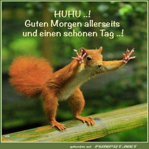 Eichh�rnchen-gr��t-mit-Elan-und-Charme!.jpg von Nele68