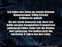 Ziemlich teure Erdbeeren