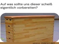 Warum der alte Sprungkasten uns inspiriert!