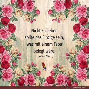 Nicht-zu-lieben.jpg von Sirene