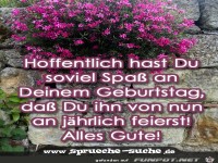 -hoffentlich-hast-du-soviel-spass-an-deinem-geburtstag
