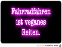 Fahradfahren