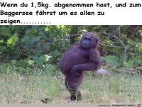 Erst mal pr�sentieren