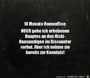 10-Monate-Homeoffice.jpg auf www.funpot.net