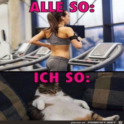 Alle-und-ich.jpg von Finn