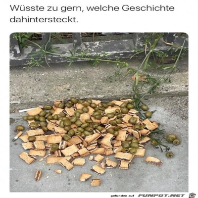Wie-kam-es-wohl-dazu?.jpg von Oliver