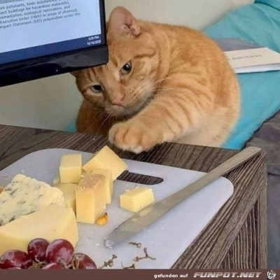 Irgendwie-komme-ich-da-ran.jpg von Judy62