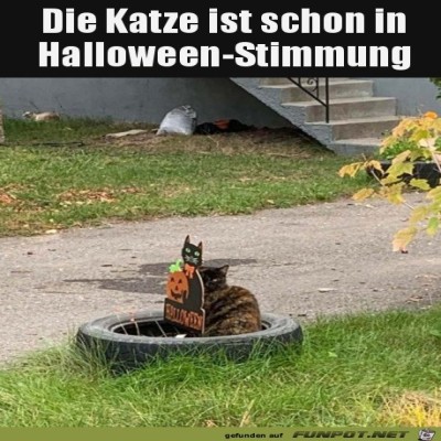 Halloween-Katze.jpg von Ida