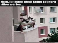 Wo bleiben die Leckerlis?