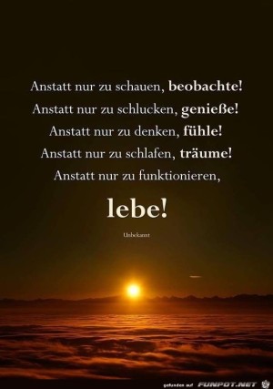 Anstatt-nur-zu-schauen-beobachte.jpg auf www.funpot.net