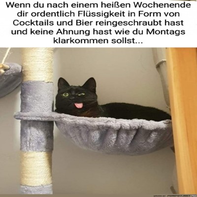 Das-wird-hart.jpg von Amina