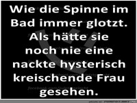 Die Spinne