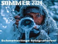 Sommer 2024
