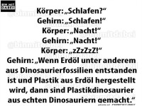 Nachts schlafen oder �ber Dinosaurier nachdenken