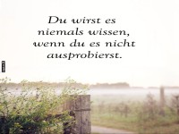 Abenteuer auf dem Bauernhof: Mutig probieren!