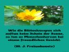 weiter