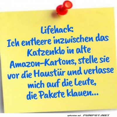 Kreativer-Paket-Diebstahlschutz.jpg von Bela