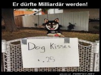 Hundek�sse zum Schn�ppchenpreis!