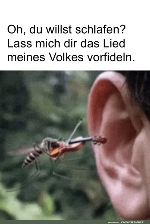 Lustige-Serenade-zum-Einschlafen.jpg auf www.funpot.net