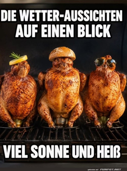 Hitzewelle-trifft-Ofen:-Huhn-Alarm!.jpg auf www.funpot.net