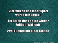 Hydration und Sport: Fu�ball-WM-Edition