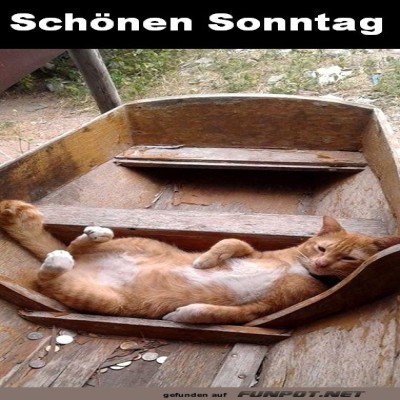 Sonntagsruhe-&agrave;-la-Katze.jpg von Nachtstern
