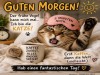 weiter