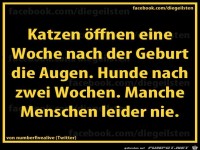 diegeilsten Augen oeffnen