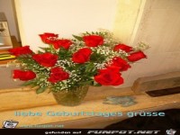 liebe geburtstagsgruesse
