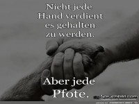 Nicht jede Hand