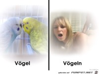 Verwechslungsgefahr1