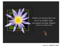 Anderen ein Sonnenschein sein