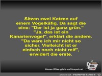 Sitzen zwei Katzen auf einem Vogelk�fig