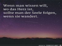 wenn man wissen will, wo das Herz ist,.....