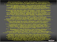 Durchsagen in Air Berlin Maschinen