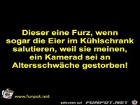 Die Eier im K�hlschrank