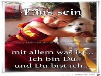 Eins sein